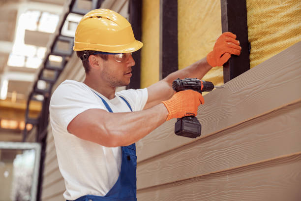 Best Custom Trim and Detailing for Siding  in Anthem, AZ